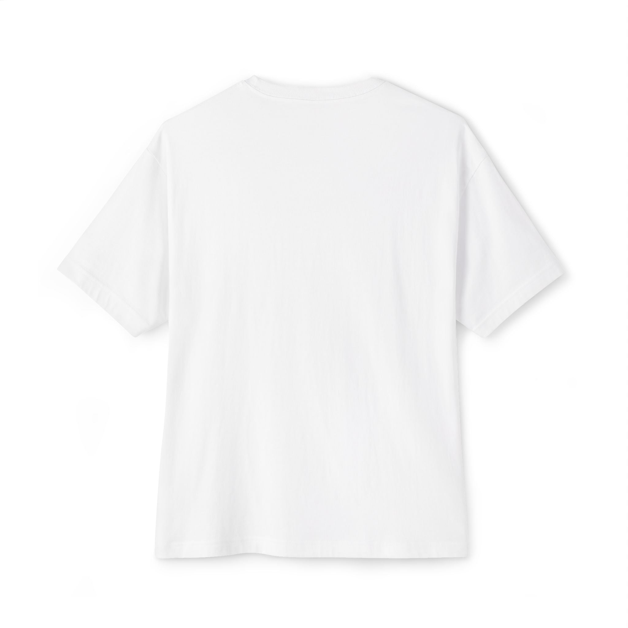 Figure 22 Two-tone Unisex Oversized Boxy Tee – Minimalist Streetwear Essential | Falling Series